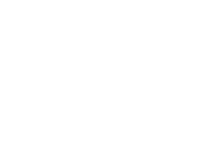 cisco-partner-logo